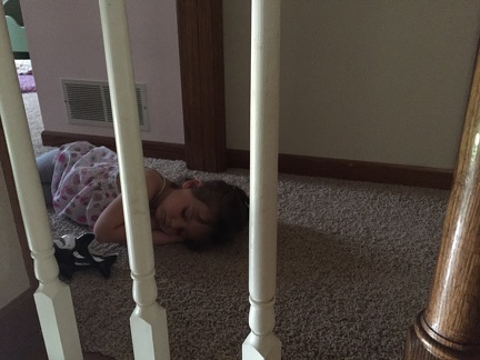 Greta nap time in the hallway1